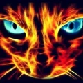 Avatar: diall6921